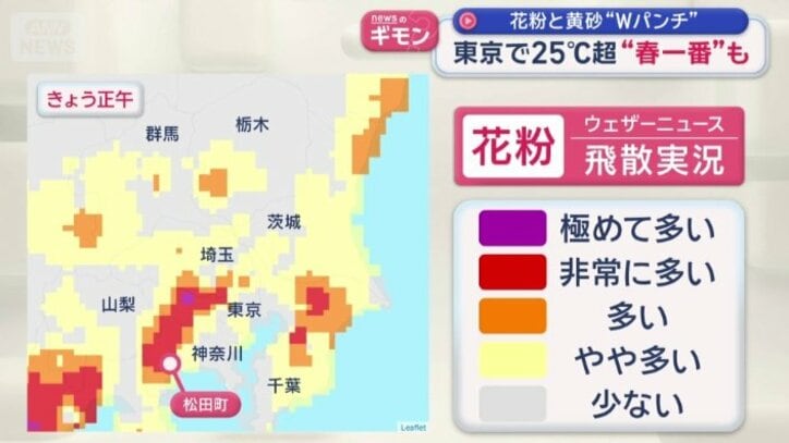 花粉がピークを迎える