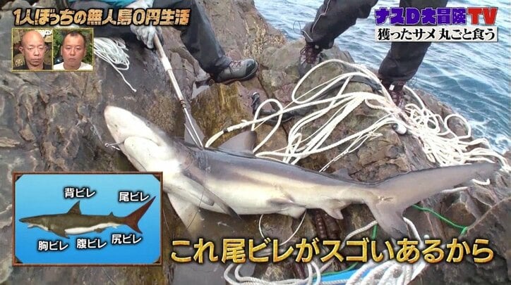 ナスd 獲ったサメを一人で骨まで解体 無人島で サメ骨ラーメン 作りに挑戦 バラエティ Abema Times