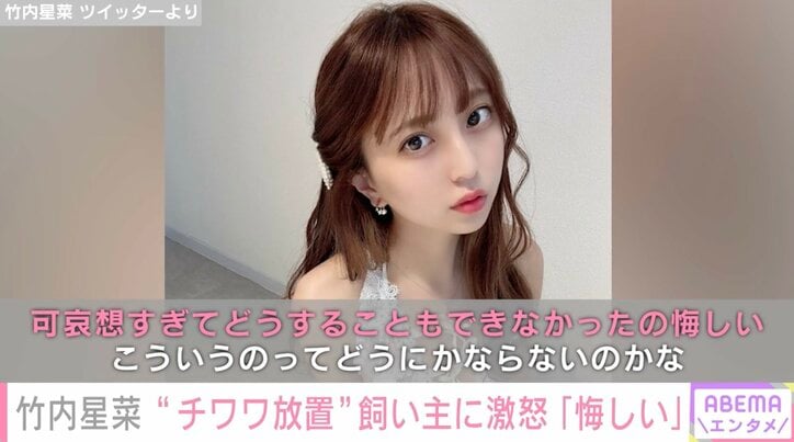 「飼えないなら飼うなよ」小さなカゴに閉じ込められたチワワを発見し通報 グラドル竹内星菜、怒りの投稿「暑いのに水も無くてエサも虫がいっぱいたかっていて」