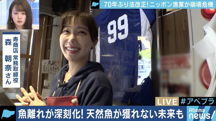 漁獲高制限で値段は？養殖ものの価値が上がる？70年ぶりの法改正と日本の漁業の未来は