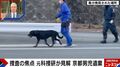 「科学は嘘をつかない」逆臭気で靴を発見？カーナビ消去復元できる？警察犬の信頼性は？元科捜研が京都男児遺棄事件を検証