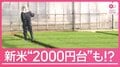 酷暑＋深刻なコスト高も課題　それでも新米価格は2000円台も？コメ巡る異常事態