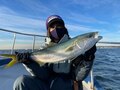 工藤静香の釣った魚を持ち上げたオフショットにファン称賛「パワフルでカッコよかった」「何でもできてすごい」