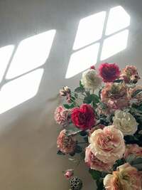 假屋崎省吾『鎌倉の自宅の玄関に光の影が‼️』