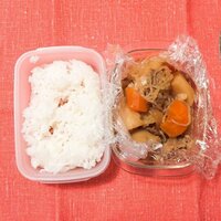 ホラン千秋、飾らないお弁当シリーズ公開 虜になるファン増殖中