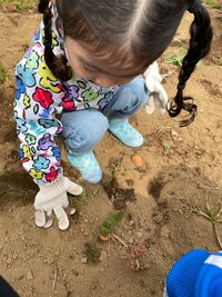 小林よしひさ『にんじん』