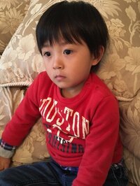 市川海老蔵『まだ五右衛門見てるらしい』