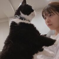 西野七瀬、誕生日の祝福コメントに感謝「永遠に1番の推しです」「27歳楽しんで！」の声