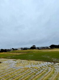 北斗晶『赤だしの味噌汁』