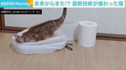 かまって攻撃にいたずら、実はリアルな“猫型ロボット”だった 製作した“猫アレルギー”ロボットエンジニアを直撃
