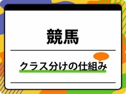 競馬のクラス分け仕組みを徹底解説！ 昇級システムと賞金の違い
