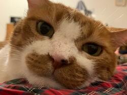  松居直美、発熱し焦って病院で検査を受けた結果「体の痛みもあると思い」 