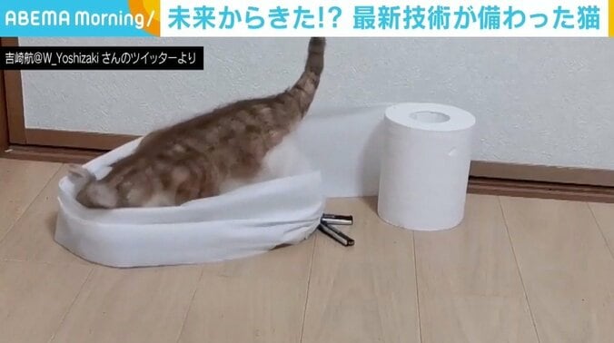 かまって攻撃にいたずら、実はリアルな“猫型ロボット”だった 製作した“猫アレルギー”ロボットエンジニアを直撃 1枚目