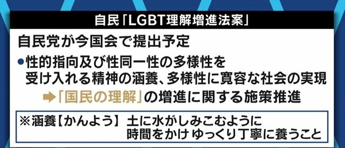 自民党が成立目指す「LGBT理解増進法案」、“差別禁止”の規定は盛り込むべき？当事者や関係者でも割れる意見 3枚目