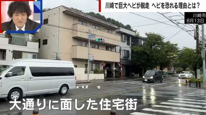川崎市8月13日
