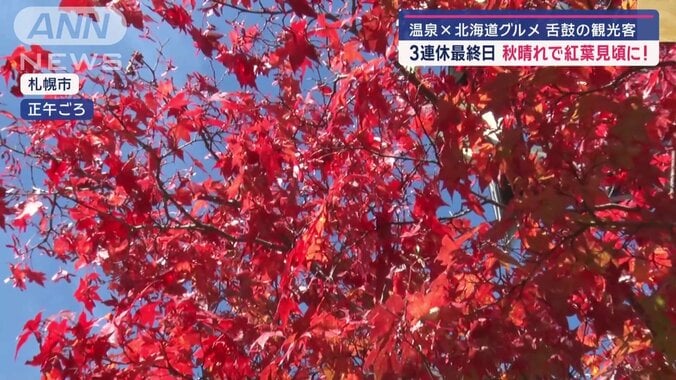 真っ赤な紅葉