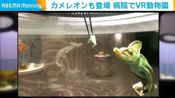 「少しでも希望を与えられたら」闘病で外出できない子どもたちにVR動物園体験 3枚目