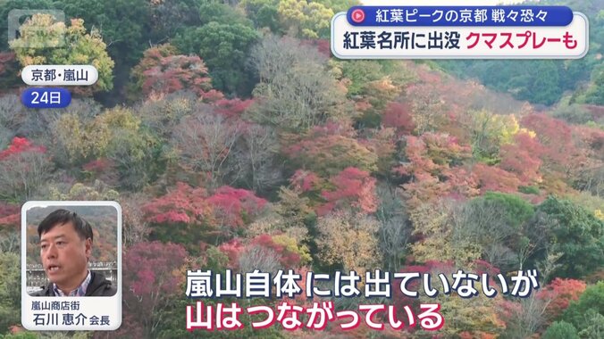 嵐山商店街　石川恵介会長