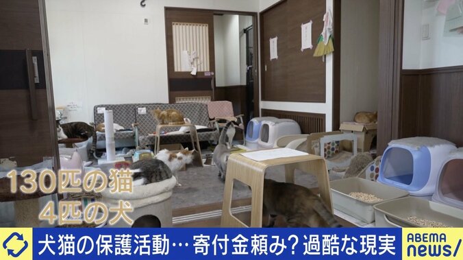 犬猫の保護活動…運営は善意頼み？