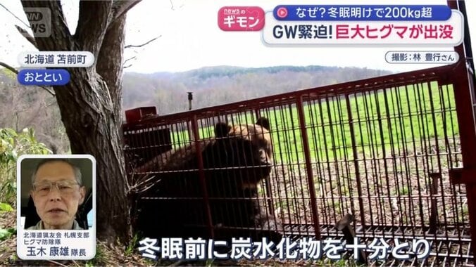 「皮下脂肪になるものを蓄えられる環境にいた」