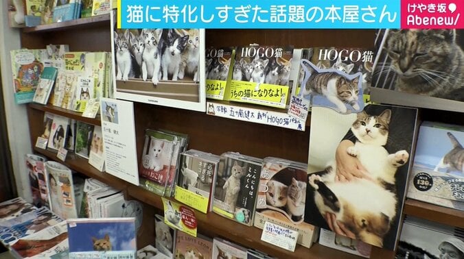 現役ホストが接客、「旅」「猫」に特化　専門書店の書店員がオススメする“読書の秋”3冊 1枚目