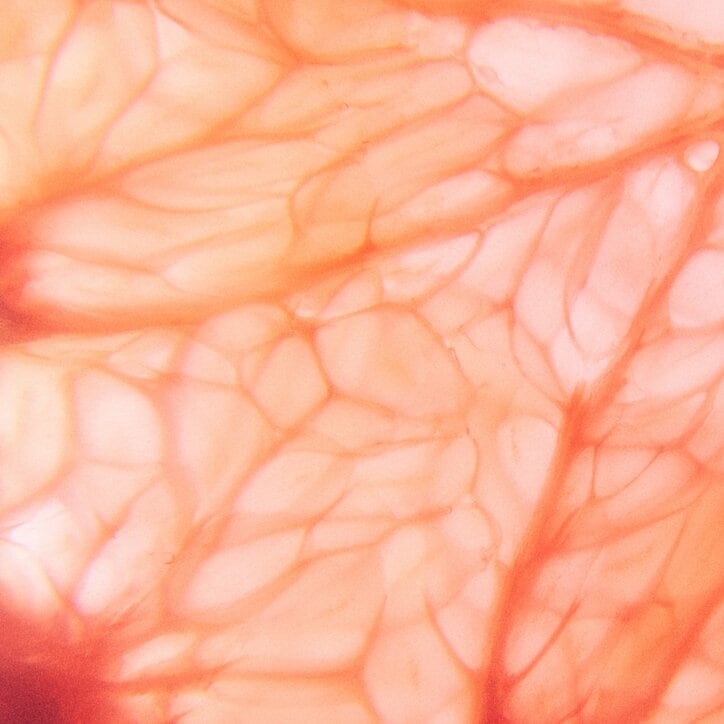 【写真・画像】　1枚目
