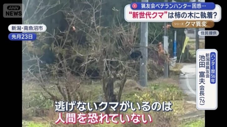 「人間を恐れていない」　