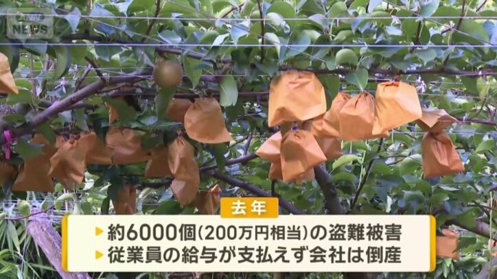2年連続の盗難被害