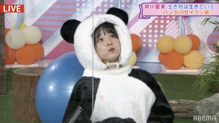 乃木坂46のリアル峰不二子？ 樋口日奈のコスプレ10変化にファン歓喜【乃木坂電視台 Part2】