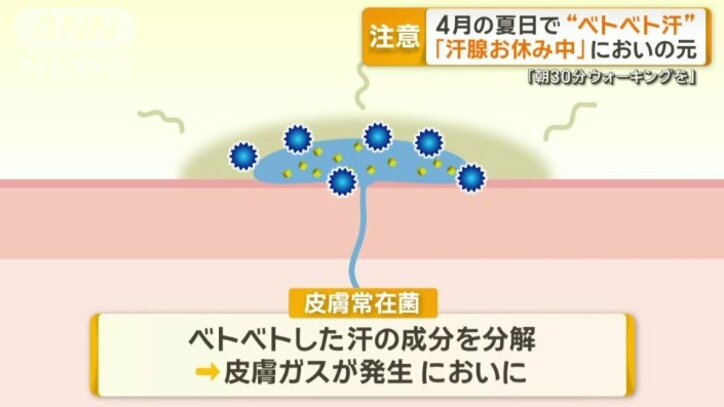常在菌