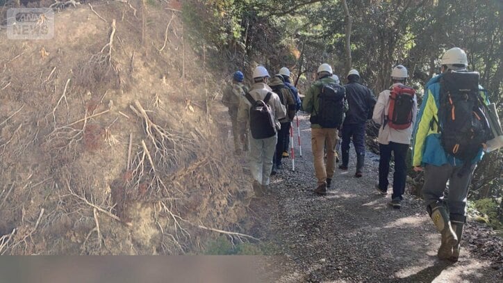 鴨川のメガソーラーで違法伐採 有識者ら現地立ち入り調査 千葉県「適切に行政指導」