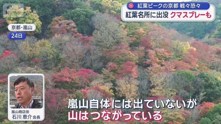 嵐山商店街　石川恵介会長