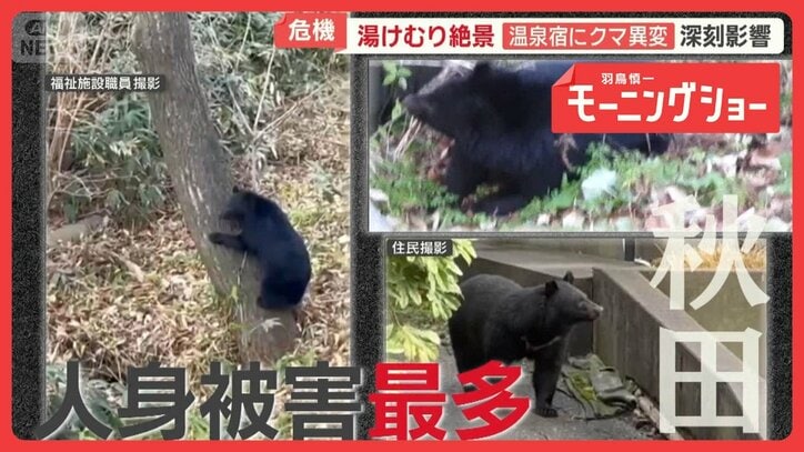 温泉地に影落とすクマ　自然か安全か…絶景露天風呂も苦渋の選択　キャンセル続出で