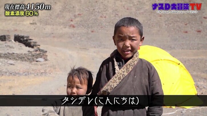 「初めての友達」ナスD、天空のヒマラヤ部族と初交流…現れた“小さな訪問者”とは?