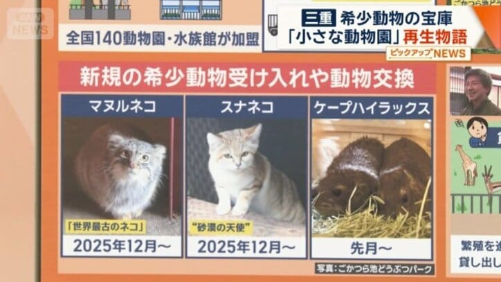 去年4月に協会への加盟が実現