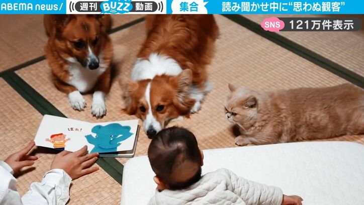 【写真・画像】このゼンマイのおもちゃ、どうやって使うの？ SNSで大バズリ！ユニークすぎる使い方に投稿殺到　1枚目