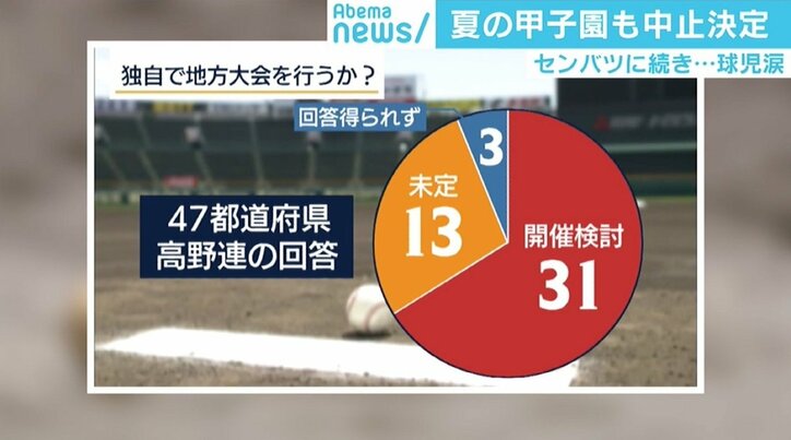 春夏連続の甲子園中止…球児救済に「独自大会」の動きも 松坂投手はWebサイト創設を提案
