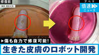 【映像】夢広がる…"生きた皮膚"のロボット開発