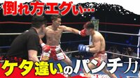 【映像】豪快KO勝利を娘に