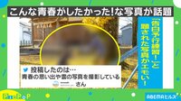 アニメを超えてる…!? エモい“告白予行練習”に絶賛の声「こんな青春したかった」