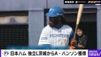 【映像】新庄監督好み？謎の新外国人