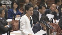 政治ニュース - 外国人労働者巡り安倍総理と論戦　立憲・蓮舫氏 | 動画視聴は【Abemaビデオ(AbemaTV)】