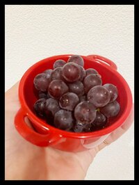 ギャル曽根『お弁当の。』