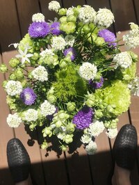 稲垣吾郎『パウダーの香りに包まれて。』