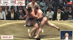 「女性一人分も痩せたw」引退した人気力士の“痩せっぷり”にファン驚愕 現在の姿に「オシャレでかっこいい」