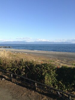 格闘家・青木真也、「東京で消耗しています」“移住”について語る