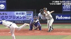 横浜DeNA戸柱、ファウルが股間直撃…　評論家・斉藤氏「真芯でとらえましたね」