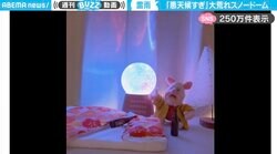 「悪天候すぎる」スノードームが“大荒れ”になってしまう珍現象に「あんなに幻想的だったのに…」「V系バンドのライブ演出w」と反響