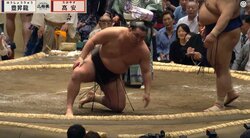 豊昇龍の付け人が…花道で“ただならぬ”動き「めっちゃ走ってる」「集まってきた」アクシデントの際にファン注目の一コマ