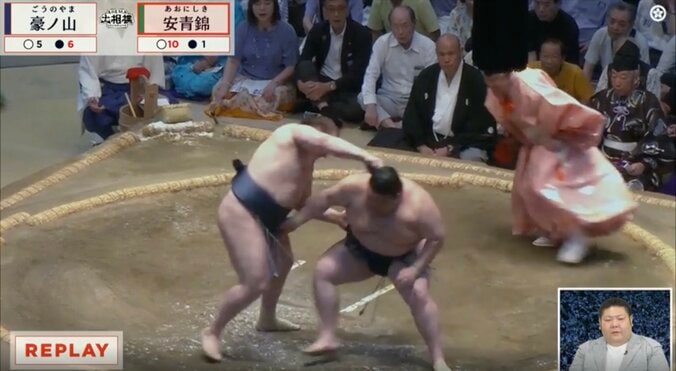 安青錦、1敗死守も「ちょっとこれ髷に…」実況アナ指摘 ファンも「いいのか?」カメラが捉えた“微妙な瞬間”に様々な声 4枚目